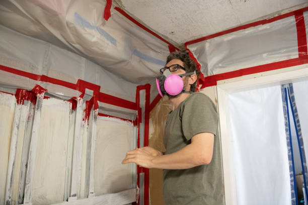 Best Biohazard Mold Removal  in New Britain, CT